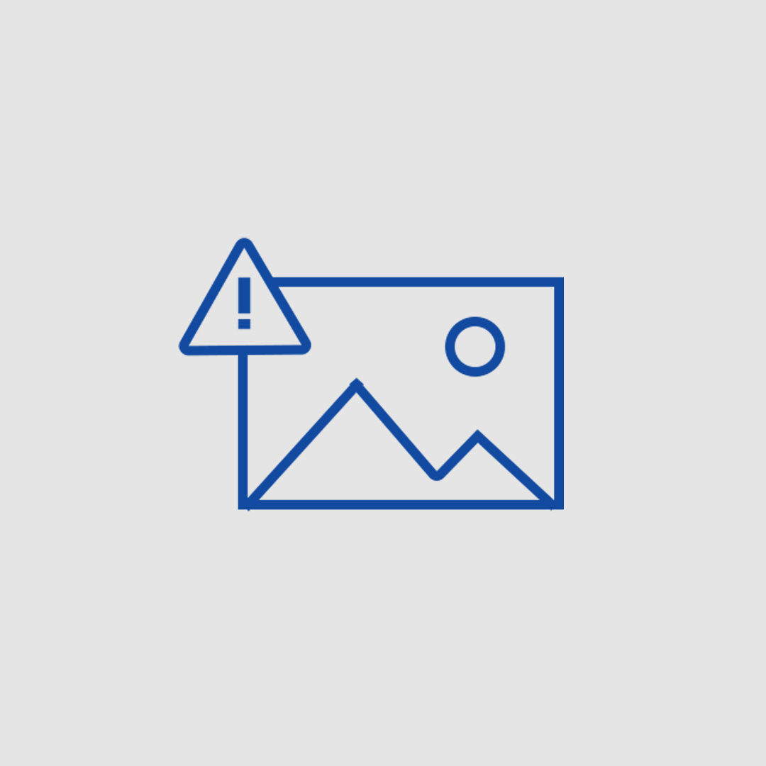 شبنم علوی-project